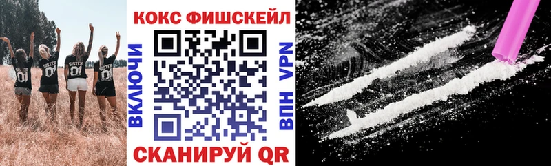COCAIN Fish Scale  Купить  Липки 