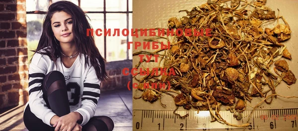 гидропоника Саяногорск