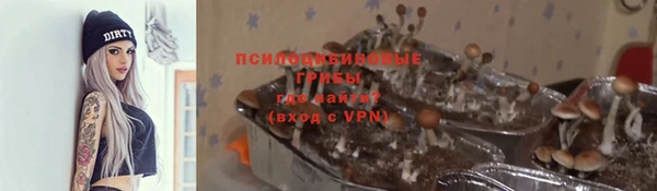а пвп мука Сатка
