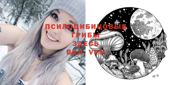 гидропоника Саяногорск