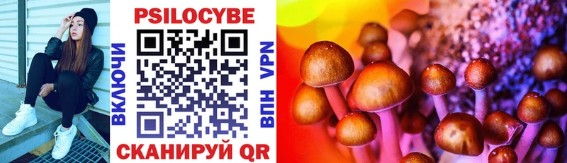 Галлюциногенные грибы Cubensis  Купить закладки  Липки 